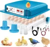 Peviasot Brutmaschine für 36 Eier Automatische Inkubator Produktbild-Vorschau 10