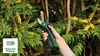 Baumschere BOSCH EasyPrune Produktbild-Vorschau 16