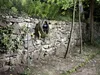 Kärcher Schlauch Performance Plus 1/2" - 50m Produktbild-Vorschau 3