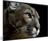 MuchoWow® Gerahmtes Poster Puma - Wilde Tiere - Porträt Produktbild-Vorschau 1