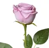 Clayre & Eef Kunstblume Rose 61 cm Violett Kunststoff Produktbild-Vorschau 1