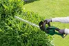 A person is using a cordless hedge trimmer to trim a dense green bush in a garden setting. Produktbild-Vorschau