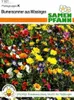Blumensommer aus Mössingen | Mössinger Sommer von Samen Produktbild-Vorschau 1
