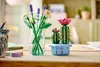 LEGO® Botanicals 11509 Cactus fleuri Voir les images du produit 37