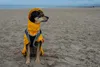Raincoat Regenjacken-Stoff wasserdicht farbenfroh PU-beschichtet Regenmäntel Matschhosen Designbild Produktbild-Vorschau