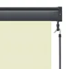 vidaXL Tenda a rullo per esterni 100 x 250 cm bianco crema Anteprima dell’immagine prodotto 5