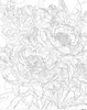 Malen nach Zahlen Erwachsene Blumen Rosen Farbenspiel 50x40 Produktbild-Vorschau 2