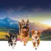 Krmivo Ontario, voeding voor grote honden, met kalkoen en Productafbeelding-voorbeeld 9
