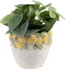 Clayre & Eef Blumentopf Ø 14x12 cm Weiß Gelb Stein Zitronen Produktbild-Vorschau 2