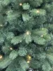 XMS-Trees Sztuczna choinka Banff H210 x Ø97 cm - z diodami Podgląd zdjęcia produktu 2