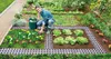 Set de 4 dalles de potager Maxi Voir les images du produit 16