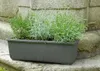 Donica samonawadniająca Plastia Siesta LUX - antracyt 40 cm Podgląd zdjęcia produktu 8