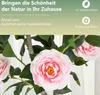 COSTWAY 90cm Kunstbaum mit Blüten, Künstlicher Produktbild-Vorschau 4