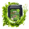 EKAGRO | 5 Liter Flüssigdünger, Natürlichen Dünger, Produktbild-Vorschau 1