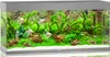 Juwel Rio 350 LED | 350L | 121 x 51 x 66CM Grijs Productafbeelding-voorbeeld 3