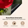KitchenYeah© Herdabdeckplatte Rote Anemone im Sonnenlicht , Produktbild-Vorschau 5
