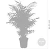 Bloomique - Chamaedorea Elegans - Bergpalme - Produktbild-Vorschau 5