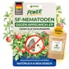 SF Nematoden gegen Apfelwickler -10 Mio. : Für 20 m² Produktbild-Vorschau 1