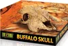 Exo Terra Versteck Buffalo Skull Produktbild-Vorschau 5