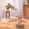 Robotime 3D-Puzzle aus Kiefernholz Produktbild-Vorschau 14