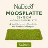 Moosplatte ca. 38x18cm | Moosmatte Produktbild-Vorschau 2