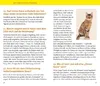 Katzen-Clicker-Box Produktbild-Vorschau 7
