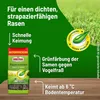 Substral Rasensamen Sport und Spiel, strapazierfähige Produktbild-Vorschau 5