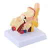 Ear Model,Anatomy Model,Ear Model Anatomy,Human Anatomy Voir les images du produit 5