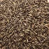 Agrarzone Bio Schwarzhafer 20 kg Pferdehafer Produktbild-Vorschau 2