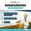 Gelenktabletten für Hunde 125 Stk - Grünlippmuschel, Produktbild-Vorschau 2