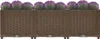 Three brown planters with purple flowers and green leaves, arranged side-by-side on a white background. Náhled obrázku produktu