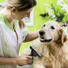 Purlov Kamm für Hunde und Katzen, 1 Stück Produktbild-Vorschau 4