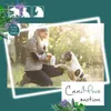 CaniMove motion maxi (ab 10kg) Produktbild-Vorschau 5
