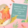 Mr. & Mrs. Panda Grußkarte Spruch Tanten Doppelspaß - Produktbild-Vorschau 5