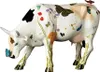 Ramona - Cowparade, groot formaat Productafbeelding-voorbeeld 2