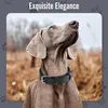 Grand Line Leder Hundehalsband, Lederhalsband Hund mit Produktbild-Vorschau 2