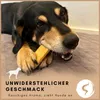 Supravit Yak Kaukäse für Hunde L (3er Pack) | Käseknochen Produktbild-Vorschau 3