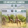 Strex Wildkamera - 16 MP HD 1080p | Nachtsichtkamera mit Produktbild-Vorschau 2