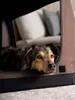 TrendPet Box pieghevole per cani TPX-Pro 90 marrone Anteprima dell’immagine prodotto 10