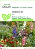 SAFLAX - opalující se - Mix - 1000 Semena Náhled obrázku produktu 1