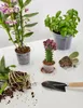 Garronda Soucoupe pour pot de fleurs GD-0026 (1 pièce - Voir les images du produit 5