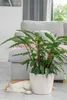 KADAX Blumentopf mit Untersetzer "Tubas", Blumenkübel, Produktbild-Vorschau 13
