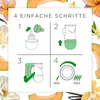 Air Wick Duftöl-Flakon Nachfüller Sommervergnügen 19ml Voir les images du produit 11