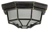 A close-up, studio shot of an outdoor ceiling light fixture. Produktbild-Vorschau