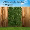 Infinity Goods Infinity Goods Künstliche Hecke - Ausziehbar Produktbild-Vorschau 9