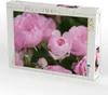 CALVENDO Puzzle Rose 'The Fairy' | 1000 Teile Lege-Größe Produktbild-Vorschau 2
