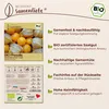 Samenliebe  Physalis Samen | Schönbrunner Gold - Produktbild-Vorschau 3
