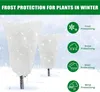 Winterschutz Wintervlies 2 Stück 80 x 120cm Pflanzen Produktbild-Vorschau 2