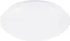 A white, round ceiling light fixture. Náhled obrázku produktu