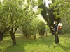 Oleo Mac Mb800 Opryskiwacz Spalinowy Plecakowy Turbinowy Podgląd zdjęcia produktu 9